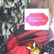 ヒメ日記 2026/02/16 06:36 投稿 もも トマトなび