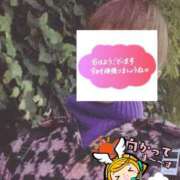 ヒメ日記 2026/02/17 06:26 投稿 もも トマトなび