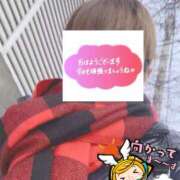 ヒメ日記 2026/02/20 06:30 投稿 もも トマトなび