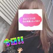 ヒメ日記 2026/02/21 06:17 投稿 もも トマトなび