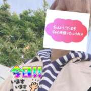 ヒメ日記 2026/02/23 06:21 投稿 もも トマトなび