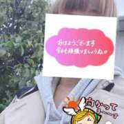 ヒメ日記 2026/02/24 06:26 投稿 もも トマトなび