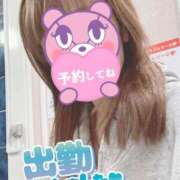 ヒメ日記 2026/02/24 07:41 投稿 もも トマトなび