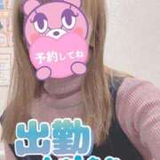 ヒメ日記 2026/02/27 07:46 投稿 もも トマトなび