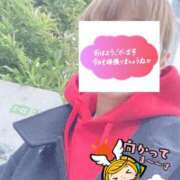 ヒメ日記 2026/02/28 06:28 投稿 もも トマトなび