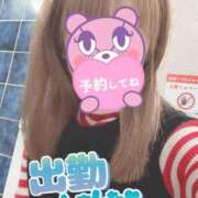 ヒメ日記 2026/03/01 07:44 投稿 もも トマトなび