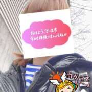 ヒメ日記 2026/03/02 06:34 投稿 もも トマトなび