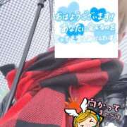 ヒメ日記 2026/03/03 06:30 投稿 もも トマトなび