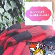 ヒメ日記 2026/03/05 06:34 投稿 もも トマトなび