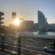 ヒメ日記 2026/03/11 22:29 投稿 もも トマトなび