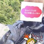 ヒメ日記 2026/03/12 06:40 投稿 もも トマトなび