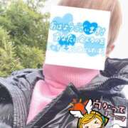 ヒメ日記 2026/03/13 06:34 投稿 もも トマトなび