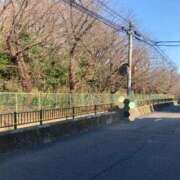 ヒメ日記 2026/03/15 23:52 投稿 もも トマトなび