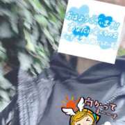 ヒメ日記 2026/03/17 06:32 投稿 もも トマトなび