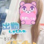 ヒメ日記 2026/03/19 07:42 投稿 もも トマトなび