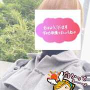 ヒメ日記 2026/03/23 06:30 投稿 もも トマトなび