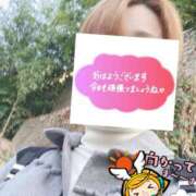 ヒメ日記 2026/03/24 06:29 投稿 もも トマトなび