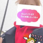 ヒメ日記 2026/03/26 06:34 投稿 もも トマトなび