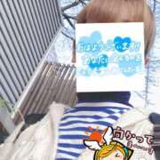 ヒメ日記 2026/03/27 06:40 投稿 もも トマトなび