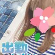 ヒメ日記 2026/03/27 07:39 投稿 もも トマトなび