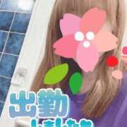 ヒメ日記 2026/03/28 07:37 投稿 もも トマトなび