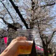 ヒメ日記 2026/03/29 17:31 投稿 もも トマトなび