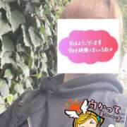 ヒメ日記 2026/03/30 06:33 投稿 もも トマトなび