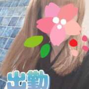 ヒメ日記 2026/03/30 07:52 投稿 もも トマトなび