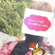 ヒメ日記 2026/03/31 06:26 投稿 もも トマトなび