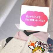 ヒメ日記 2026/04/02 06:29 投稿 もも トマトなび