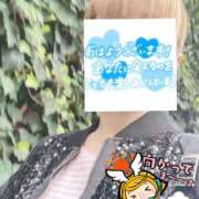 ヒメ日記 2026/04/04 06:25 投稿 もも トマトなび