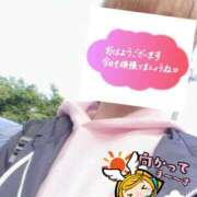 ヒメ日記 2026/04/06 06:34 投稿 もも トマトなび