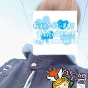 ヒメ日記 2026/04/09 06:33 投稿 もも トマトなび