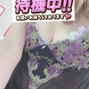 ヒメ日記 2026/04/11 08:57 投稿 もも トマトなび