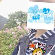 ヒメ日記 2026/04/13 06:33 投稿 もも トマトなび