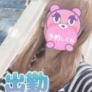 ヒメ日記 2026/04/13 07:49 投稿 もも トマトなび