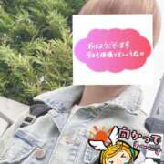 ヒメ日記 2026/04/14 06:39 投稿 もも トマトなび