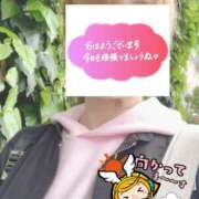 ヒメ日記 2026/04/17 06:33 投稿 もも トマトなび