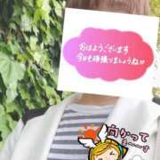 もも おはようございます トマトなび