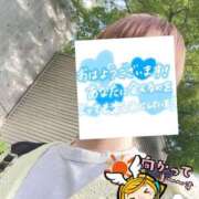 ヒメ日記 2026/05/12 06:36 投稿 もも トマトなび