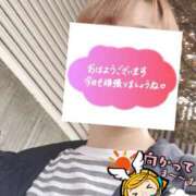 ヒメ日記 2026/05/15 06:33 投稿 もも トマトなび