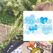 ヒメ日記 2026/05/16 06:31 投稿 もも トマトなび