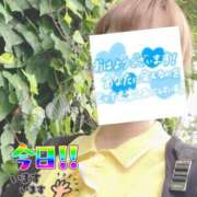 ヒメ日記 2026/06/07 06:33 投稿 もも トマトなび