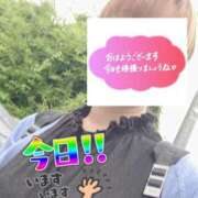 ヒメ日記 2026/06/21 06:31 投稿 もも トマトなび