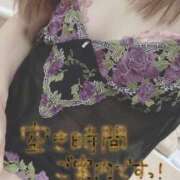 ヒメ日記 2026/06/22 08:29 投稿 もも トマトなび