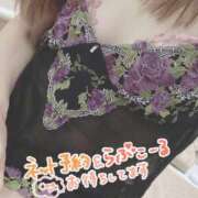 ヒメ日記 2026/06/22 11:05 投稿 もも トマトなび