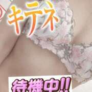 ヒメ日記 2026/06/23 09:23 投稿 もも トマトなび