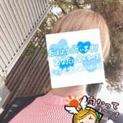 ヒメ日記 2026/06/26 06:33 投稿 もも トマトなび
