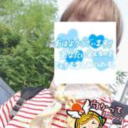 ヒメ日記 2026/07/24 06:35 投稿 もも トマトなび