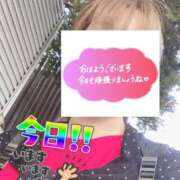 ヒメ日記 2026/07/26 06:29 投稿 もも トマトなび